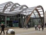 Urban Green Spaces - The Winter Gardens, Sheffield