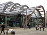 Urban Green Spaces - The Winter Gardens, Sheffield