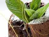 Chocolate molten lava cake