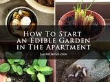 How To Start an Edible Garden in The Apartment