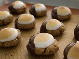 Peanut Butter s'more Bites