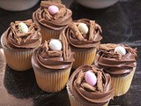 Bird’s Nest Chocolate Cupcakes