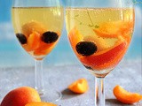 Apricot White Wine Spritzer