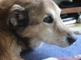 Gretta