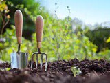 11 Great Gardening Tips