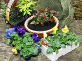 Container Gardening