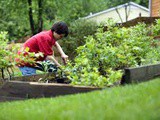 Gardening For Everyone