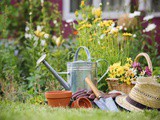 Gardening Like a Healthy Lifestyle