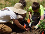 Gardening With Students