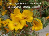 Cambio di stagione come organizzare gli spazi in maniera semplice