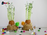 Decorazioni di pasqua con germogli