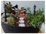 Il mio piccolo giardino in miniatura