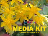 Media Kit per blogger: che cos'è e come si fa