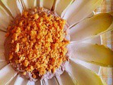 Girasole di tonno (bimby)