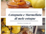 Cotognata Originale e Marmellata di Mele Cotogne