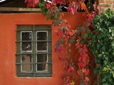 Il vino dell’Oltrepò Pavese: itinerario tra vigneti, cantine e buon cibo
