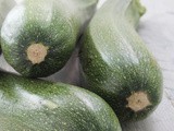 Ricette con zucchine facili, sfiziose e veloci