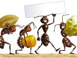 Lievito e formiche