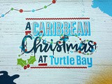 Festive menu at Turtle Bay