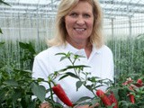 October 2015 - Debbie Johnson - Westshore Chillies