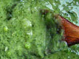 Potato, spinach, pea and basil soup - a tasty vegan feast