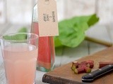 Rhubarb anise syrup and frugal jam