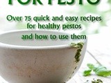 Apple Celery And Coriander Pesto and New Pesto Recipe Book