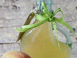 Spiced Apple Vinegar