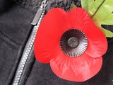 11/11/11 ~ Lest we Forget ~