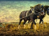 Plough Monday, Cottage Loaf and a Ploughman's Lunch