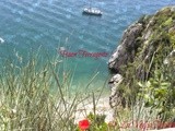 Buon Ferragosto