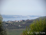  Na Burji  relax e buon cibo sotto la pergola istriana