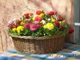 Quattro anni con voi