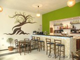   Ristorante Elià   un ulivo greco sta crescendo a Trieste