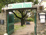 Trattoria  La Pineta sul Carso triestino , cucina casalinga e rassicurante