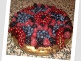 Cheesecake ai frutti di bosco