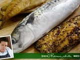 All about mackerel