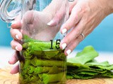 Labneh Stuffed Grape Leaves Preserved in Oil