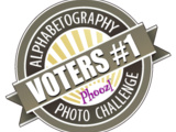 I Placed in a Photography Contest