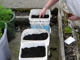 Recycled Container Gardening, Year iii, in an rv