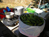 The Canning Shall Commence in an rv