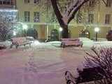 Estonian Christmas Tradition