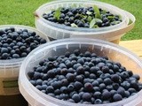 Wild Blueberry Soup with Fluffy Semolina Dessert