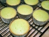 More Margartia Cupcakes