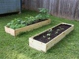 Raised Vegetable Garden Box 2