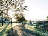 Dairy Farming During The Pandemic