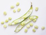 Broad Bean Salad