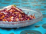 Winter Slaw Salad