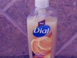 Dial® Sugar Cane Husk Hand Soap Review & Giveaway