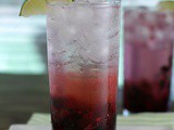 Mixed Berry Mojito